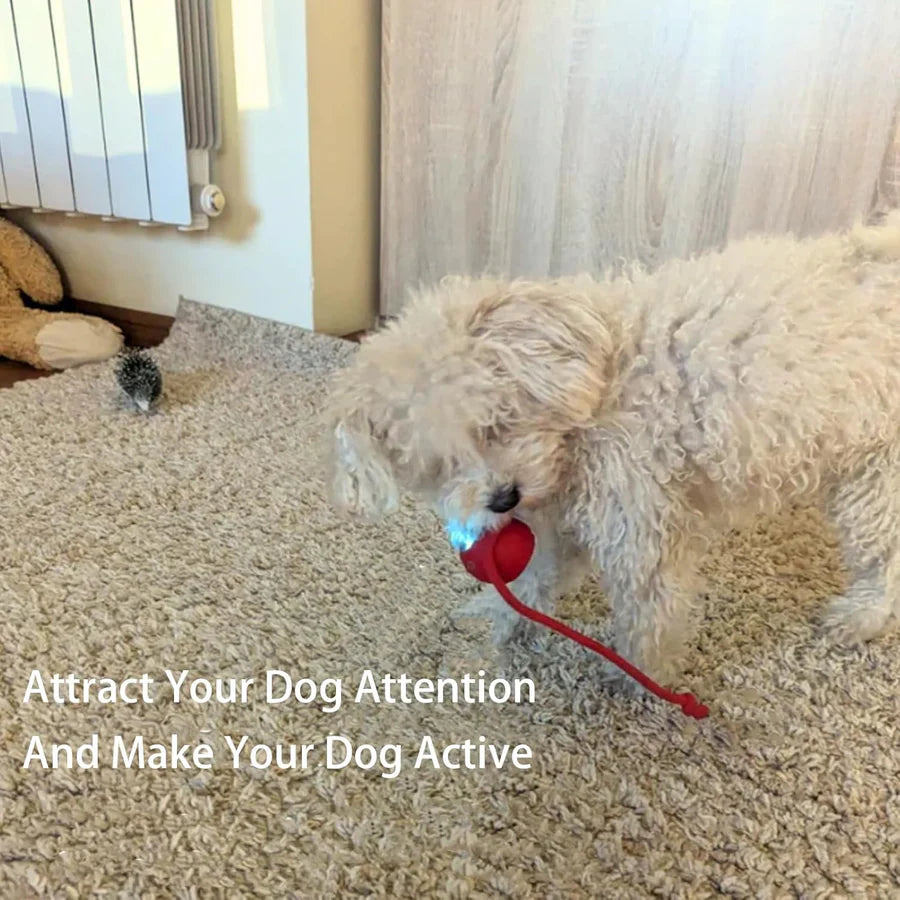 speedy Interactive pet Ball Toy