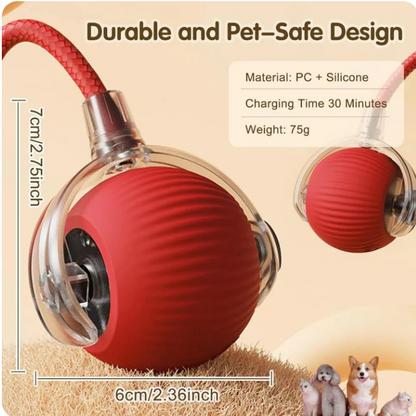 speedy Interactive pet Ball Toy