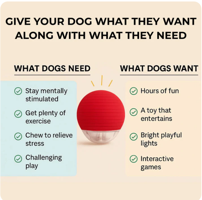 speedy Interactive pet Ball Toy