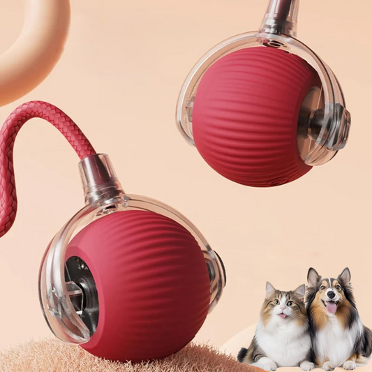 speedy Interactive pet Ball Toy